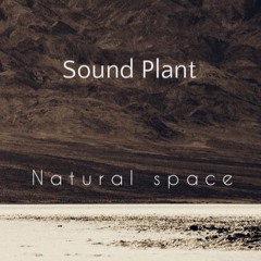 Sound Plant