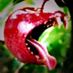 Владимир Владимирович