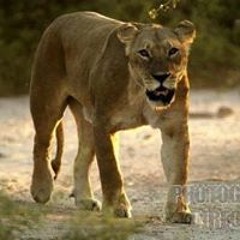 David The Computer Guy