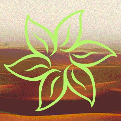 Desert Flower Records’s avatar
