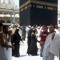 محمد الجوهرى
