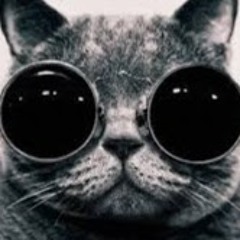 User 428221405