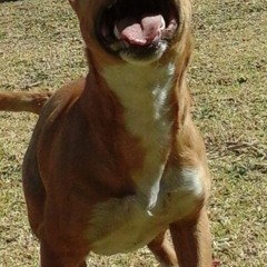 Lethabo Steven Molala