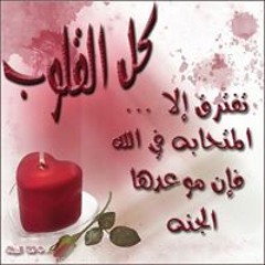 Marwa Alkady