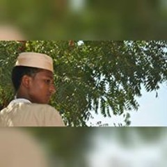 wd 3mak