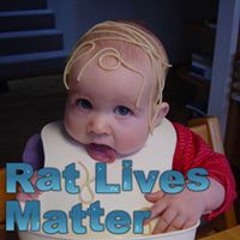 Kristrún Gunnarsdóttir