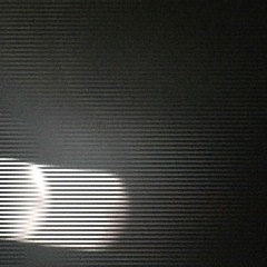 Un arbre, un arbre, une fôret, un canard (2000)
