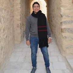 Shady K. Shenouda