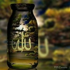 Mostafa Aldksh
