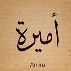 Amira Elarwady