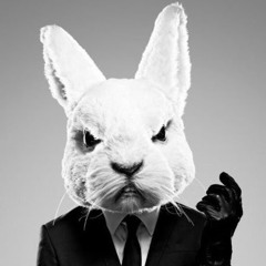 Mr Rabbit