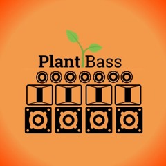 Plant Bass