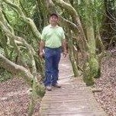 Yoni Zuloaga Saavedra