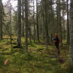 Ministry of Interior Spaces