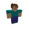 Mister Steve