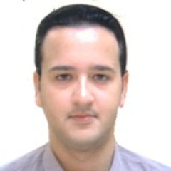 Mohamed Gamal