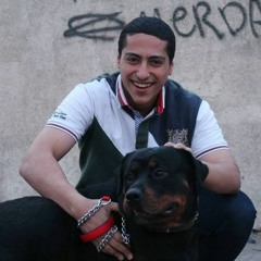 Youssef Mostafa