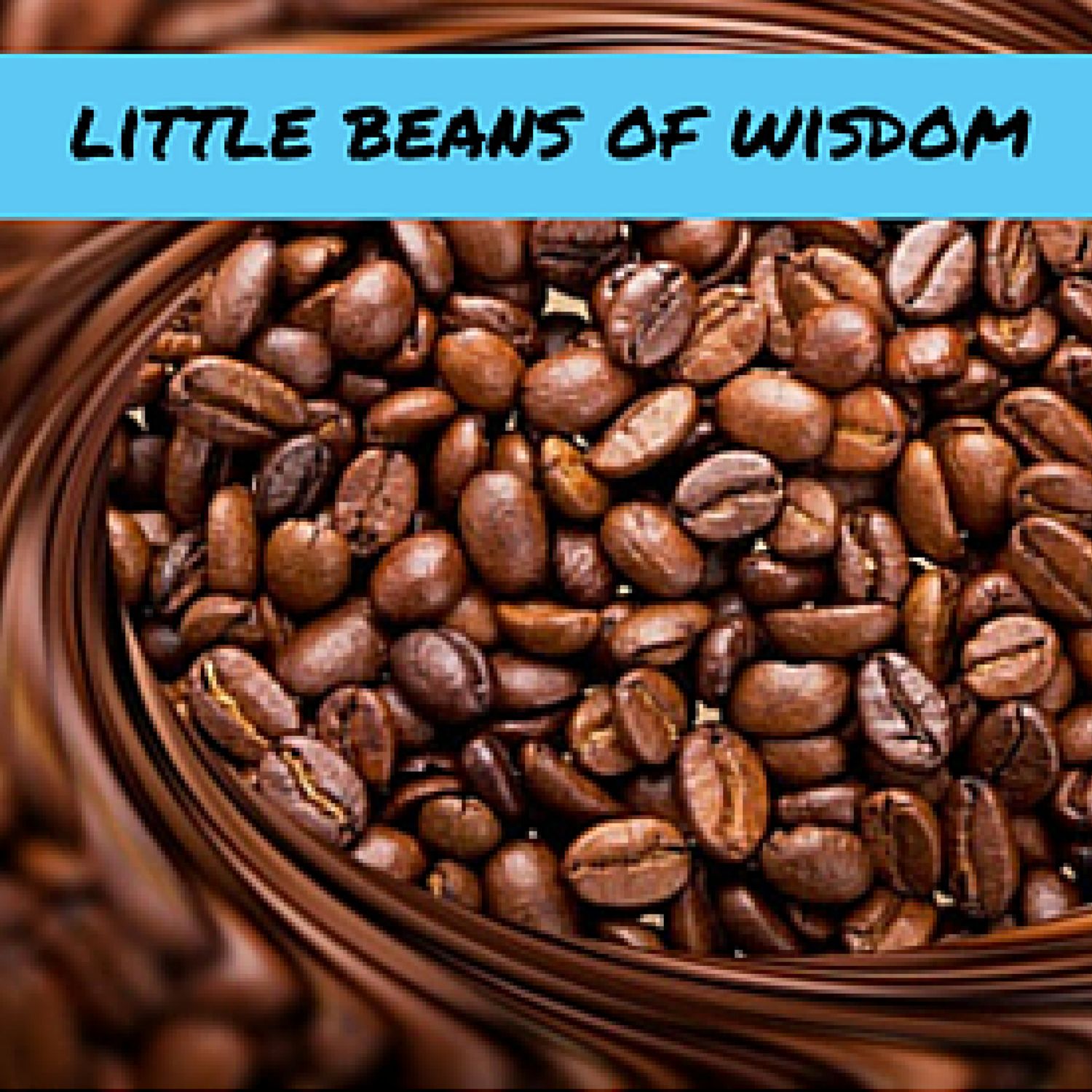 HverdagsVisdom 2018 episode 1 / Fake news af Stig Seberg & Søren Lassen