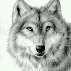 awesome_rocket