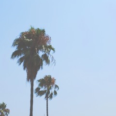 Delta Palms