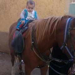 Abo Nourhan