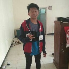 Robin Jr