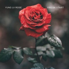 YUNG LV ROSE