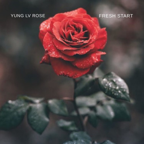 YUNG LV ROSE’s avatar