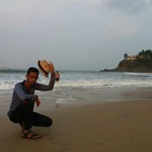 Vijaykumar Dhage’s avatar