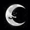 Shuhata Ataia Alashry