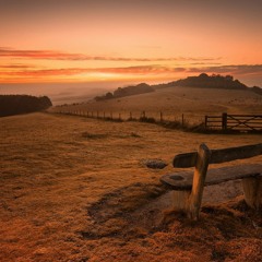 Lonely Bench