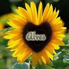 Alves Morelli