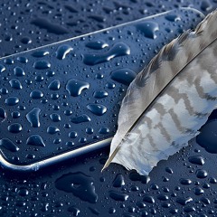 Podcast  StoryCoachBrasil, epl