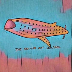 Free Reposts, Vaporwave, New Wave, House