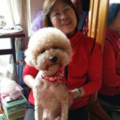 李迪迪
