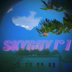 SKYGUY [° ]