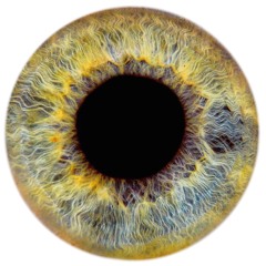 Sage Morei [demos] //