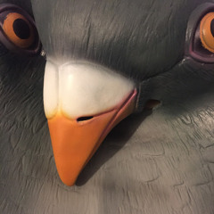 fidgetpigeon