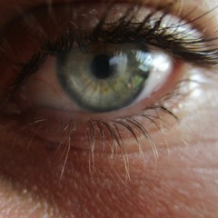 Sonnenwiese