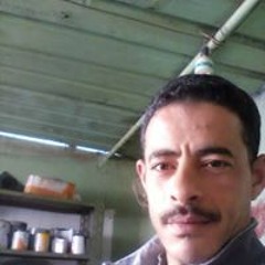الخواجه مرسى شاهين