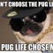 pugs_rulexalot