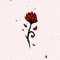 deadrose