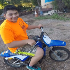 Pitbike Loser