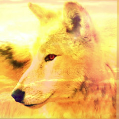 Goldnwolf