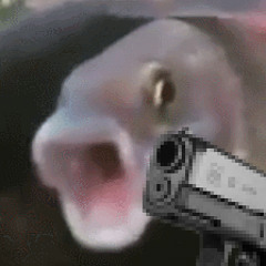 Gun Fish
