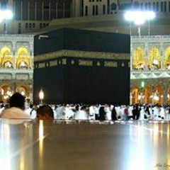 Afzal Shafi