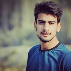 Roauf Bul Bul ribmbz