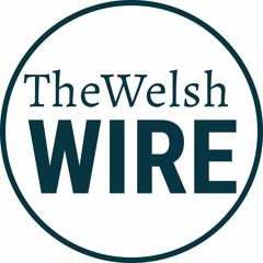 The Welsh Wire: Managing Business Growth and Family Dynamics ft. Michelle Timmerman