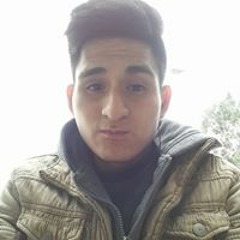 Frank Q Ccanto