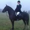 Jamie O Rourke